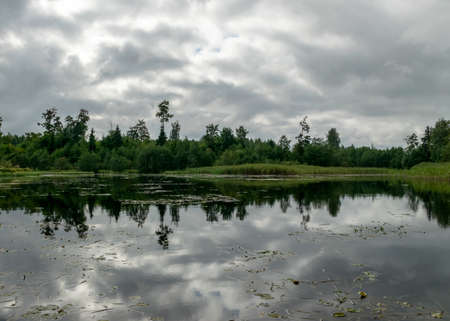 monotonous landscape with a calm lake, cloudy and cloudy day, green reflections of trees and bushes in the water, a small pond in summerの写真素材