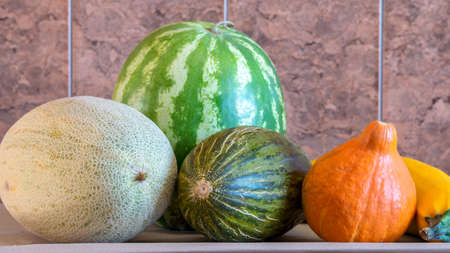 picture with pumpkin, zucchini, watermelon and melon, autumn harvest time, suitable for vegetarian dishes, vegetables for a healthy dietの写真素材