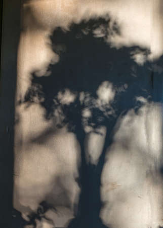 abstract play of light and shadow on the wallの写真素材