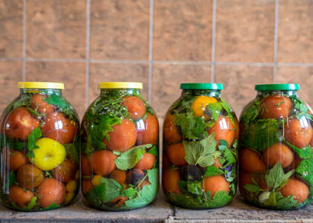 photography with red tomatoes and green spices in glass jars, canned vegetables, tomato pickling,...