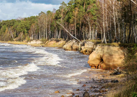 Sea view of the storm in the sea, tree silhouettes on the shore, waves, wind and autumn storm, stormy sea and beach panorama with coastal dunes, Veczemju cliffs, Salacgriva rural area, Latviaの写真素材