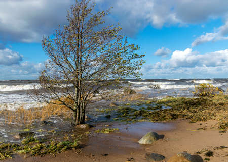 beautiful seascape with sea waves crashing on the shore and exploding, beautiful blue skies and white clouds over the sea, Vidzeme rocky seashore, Salacgriva rural area, Latviaの写真素材