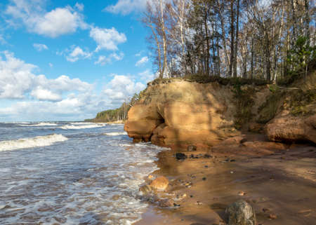 Sea view of the storm in the sea, tree silhouettes on the shore, waves, wind and autumn storm, stormy sea and beach panorama with coastal dunes, Veczemju cliffs, Salacgriva rural area, Latviaの写真素材