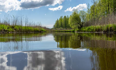 spring landscape with a beautiful calm river, green trees and grass on the river bank, peaceful reflection in the river water, Sedas River, Latviaの写真素材