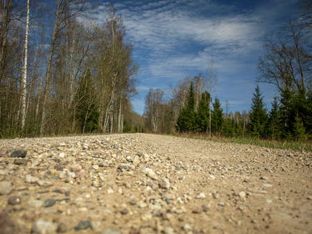 spring landscape with a simple country road, the first bright spring greenery, the first leaves in the treesの写真素材
