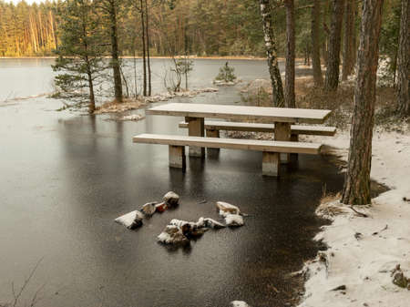 winter landscape with flooded lake shore, picnic area covered with ice, trees and land covered with snow, sunriseの写真素材