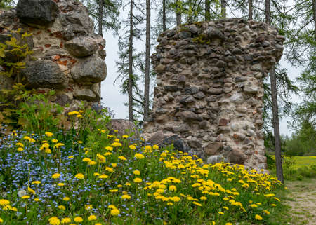 landscape with old stone castle ruins, colorful spring flowers in the foregroundの写真素材