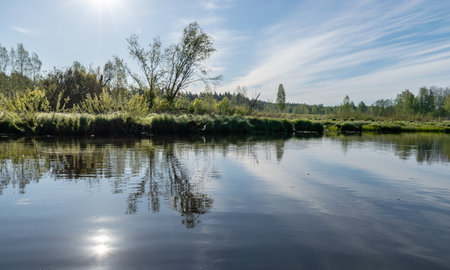 spring landscape with a beautiful calm river, green trees and grass on the river bank, peaceful reflection in the river water, Sedas River, Latviaの写真素材
