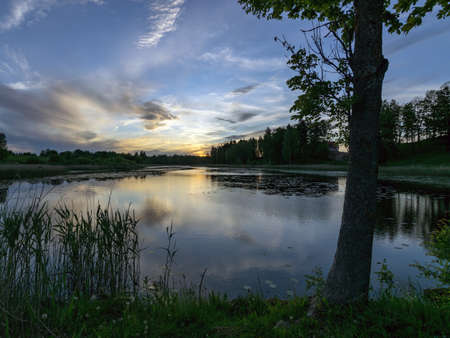 summer image with a beautiful colorful sunset over the lake, in the foreground the contours of trees and grass, Lielais Ansis, Rubene, Latviaの写真素材