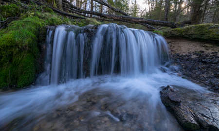 View of forest waterfall, deep forest waterfall landscape, mossy river banks, fallen treesの写真素材