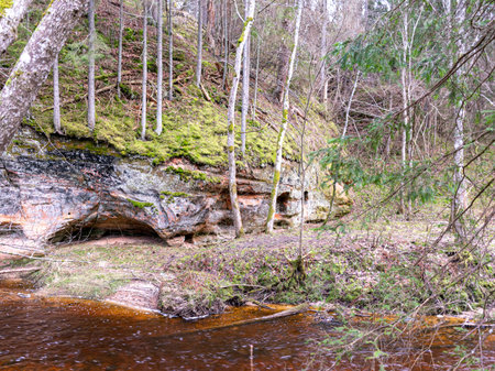 landscape with sandstone rock wall, slow flowing river, tree silhouettesの写真素材