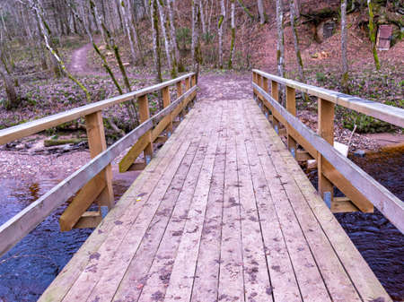 wooden bridge over the river, naked tree silhouettesの写真素材