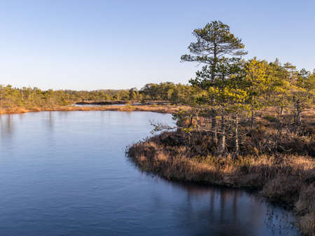 beautiful bog landscape in the morning, frozen bog lake in the foreground, beautiful glaciers on clear iceの写真素材