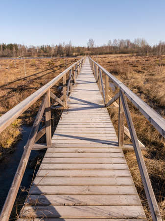 landscape with a wooden pedestrian footbridge over a swampy lake shoreの写真素材
