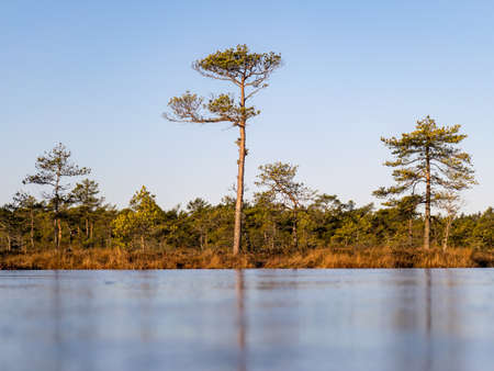 beautiful bog landscape in the morning, frozen bog lake in the foreground, beautiful glaciers on clear iceの写真素材