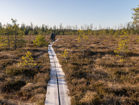 winter landscape with a wooden footpath in a frozen bogの写真素材