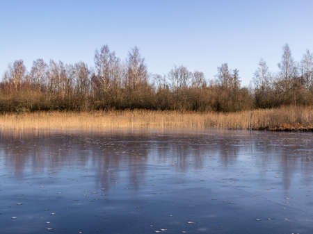 winter landscape with frozen lake, silhouettes of naked trees, dry grassの写真素材