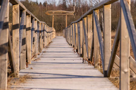 landscape with a wooden pedestrian footbridge over a swampy lake shoreの写真素材