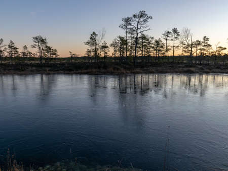 beautiful swamp landscape at sunrise, frozen swamp lake in the foreground and dry frosted meadowの写真素材