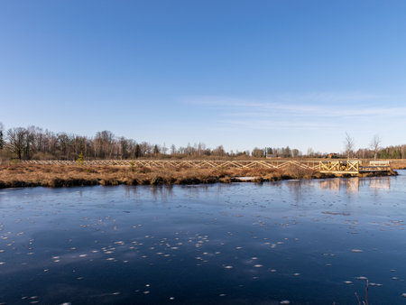 winter landscape with frozen lake, silhouettes of naked trees, dry grassの写真素材