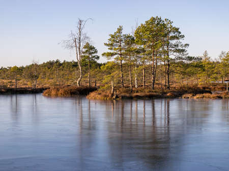 beautiful bog landscape in the morning, frozen bog lake in the foreground, beautiful glaciers on clear iceの写真素材
