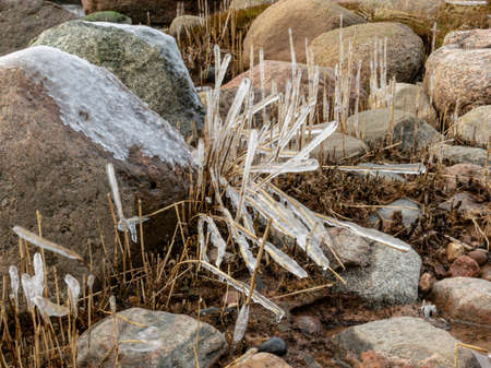 sea and wind made abstract formations of frozen dry reeds, icy rocks on the beachの写真素材