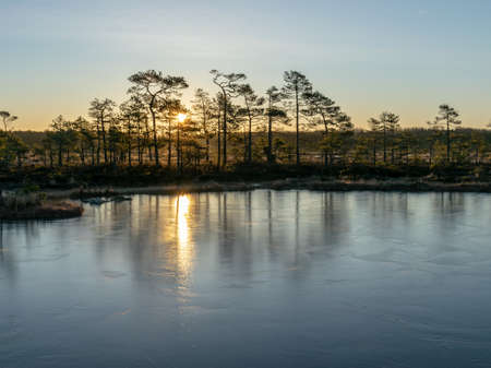 beautiful bog landscape at sunrise, first rays of sun shining through trees, glare on iceの写真素材