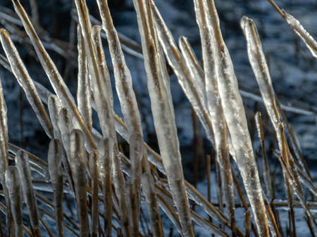 the sea and the wind have formed abstract formations of frozen dry reed, icicles fragments on a blurred backgroundの写真素材