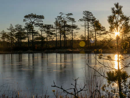 beautiful swamp landscape at sunrise, frozen swamp lake in the foreground and dry frosted meadowの写真素材