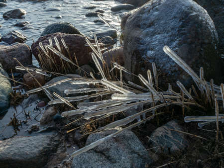 sea and wind made abstract formations of frozen dry reeds, icy rocks on the beachの写真素材