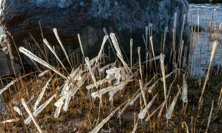 the sea and the wind have formed abstract formations of frozen dry reed, icicles fragments on a blurred backgroundの写真素材