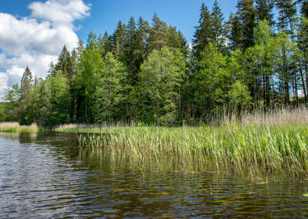 beautiful summer landscape with white cumulus clouds over the river, reflections in the waterの写真素材