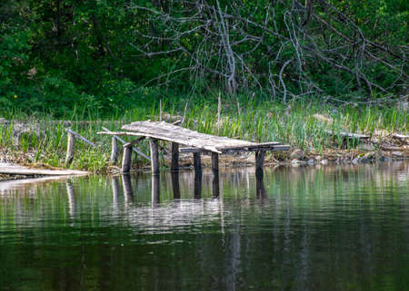 summer landscape with an old wooden footbridge in a small forest lakeの写真素材