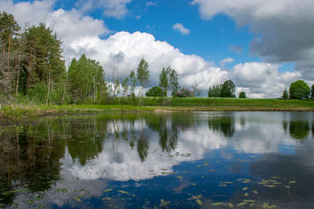 beautiful summer landscape with lake and white cloud reflections in the water, tree silhouettes reflect in the lake waterの写真素材