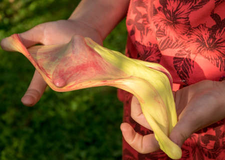 children's hands with self-made slime, slime making at a birthday party, close up of a little child is hand playing a slime,
handmadeの写真素材