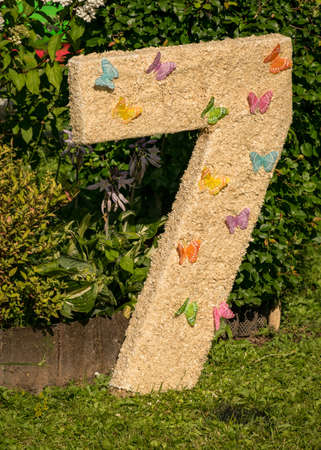 beautiful with butterflies decorated for 7 children's birthday party, celebration in the gardenの写真素材