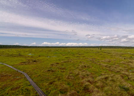 landscape with a pedestrian wooden footbridge over swamp wetlands with small pines. bog plants and ponds, a typical West-Estonian bog. Nigula Nature Reserveの写真素材