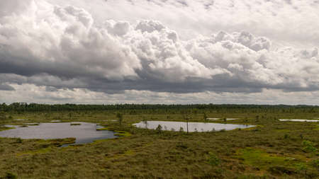 landscape with stunning bog views. beautiful clouds. View of the beautiful nature in the swamp - pond, pines, moss. Sunny day. a typical West-Estonian bog. Nigula Nature Reserveの写真素材