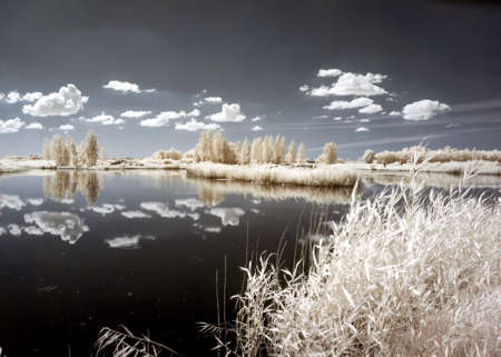 sunny summer landscape, infrared photo snowy tree amazing nature lake reflection, unusual surreal view, infrared photographyの写真素材