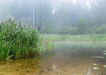 fog landscape, lake in the morning mist, blurred fog background, autumn timeの写真素材