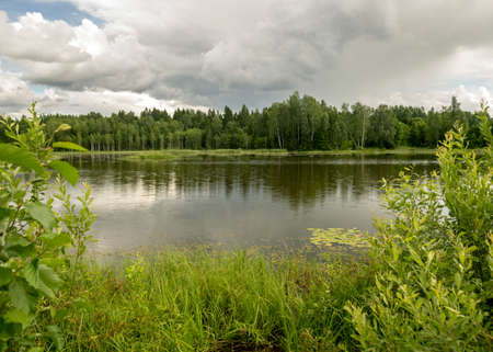 sunny summer landscape by the lake, trees and cumulus clouds reflect in the lake water, shore overgrown with reeds, summer natureの写真素材