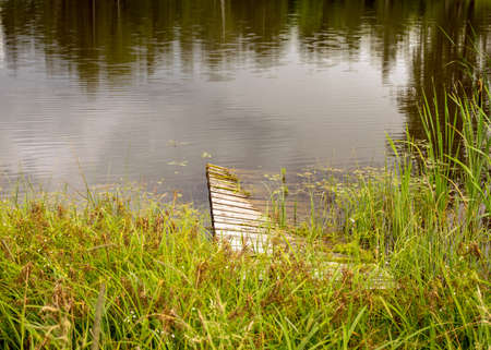 sunny summer landscape by the lake, trees and cumulus clouds reflect in the lake water, shore overgrown with reeds, fisherman's wooden footbridge between green grass and reedsの写真素材