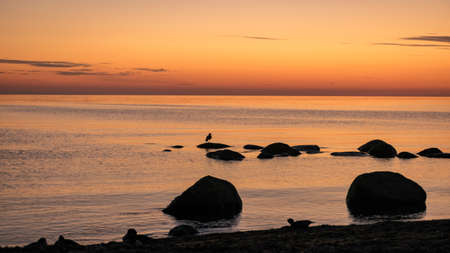 orange sunset by the sea, black stone silhouettes against the sea background, summer eveningの写真素材