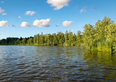beautiful view of the green shore of the lake on a sunny summer day, reflections in the calm lake waterの写真素材