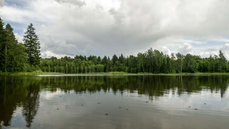 sunny summer landscape by the lake, trees and cumulus clouds reflect in the lake water, shore overgrown with reeds, summer natureの写真素材