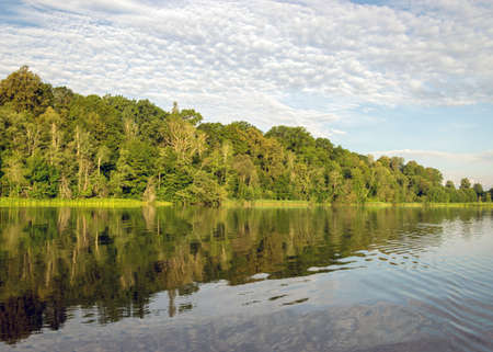 green landscape by the lake, tree reflections in calm water, summer timeの写真素材