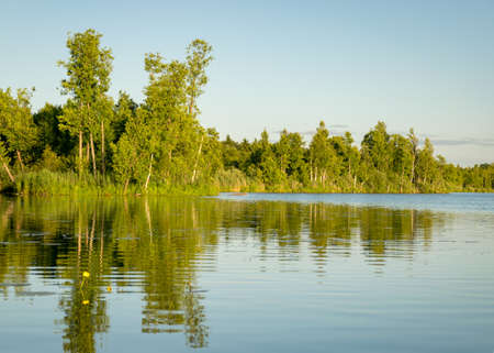 beautiful view of the green shore of the lake on a sunny summer day, reflections in the calm lake waterの写真素材