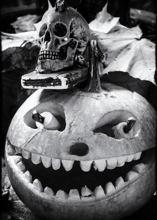 black and white halloween pumpkin with carved traditional face, skull symbol, halloween decor, autumnの写真素材