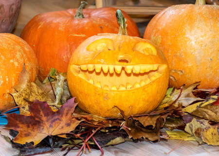 orange halloween pumpkin with carved traditional face, halloween decor, autumnの写真素材