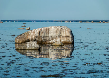 beautiful and picturesque Baltic Sea coast with boulders, Saaremaa Island, Estoniaの写真素材
